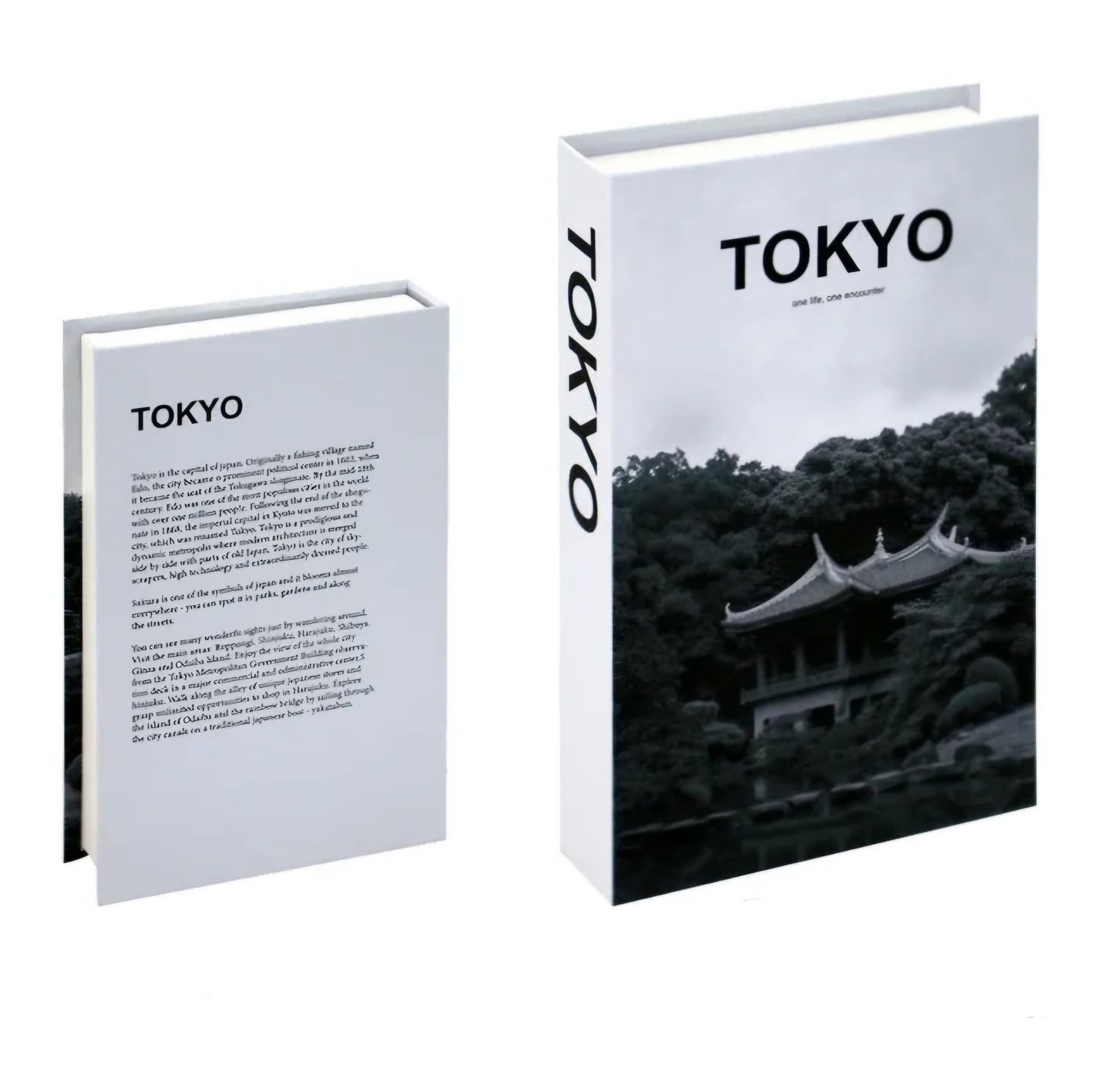 Decoration and storage books